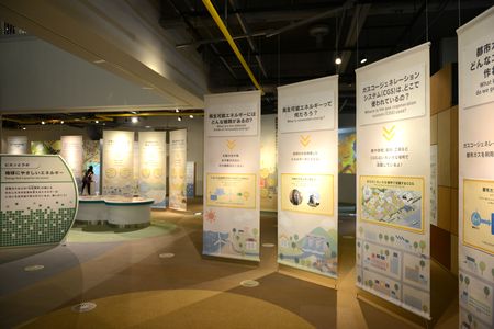 東京都江東区インタビュー